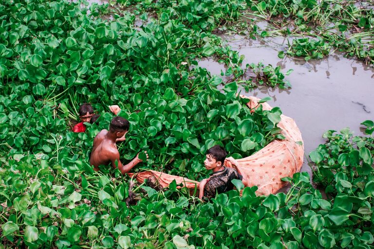 What Grants Are Available for Local Communities and Initiatives in the Heartlands: From Community Projects to Green Courtyards